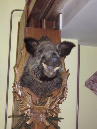 Fašankový guláš - 19.2.2012