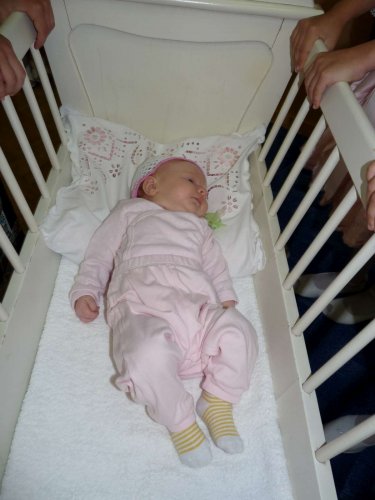 Soubor /2012-06-06-vitani-obcanku-41.jpg