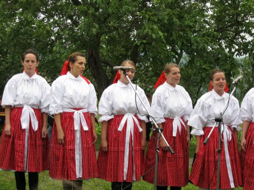 Podolské Frišky na Hodovém zpívání ve Vlčnově - 21.7.2012