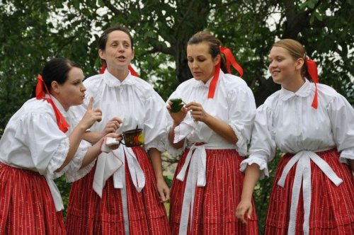 Podolské Frišky na Hodovém zpívání ve Vlčnově - 21.7.2012