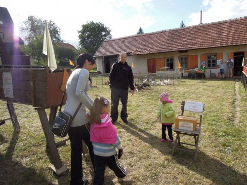 Výstava chovatelů - Propagační přehlídka exotů - 15.9.2012