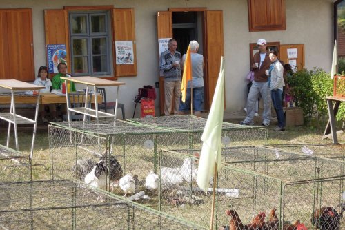 Výstava chovatelů - Propagační přehlídka exotů - 15.9.2012