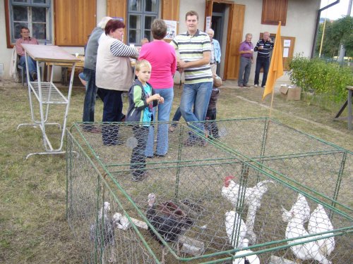 Výstava chovatelů - Propagační přehlídka exotů - 15.9.2012