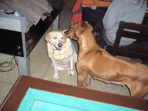 Silvestrovský pochod do Hradčovic - 31.12.2012