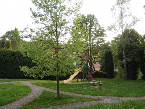 Nové budky pro ptáky - 22.4.2014