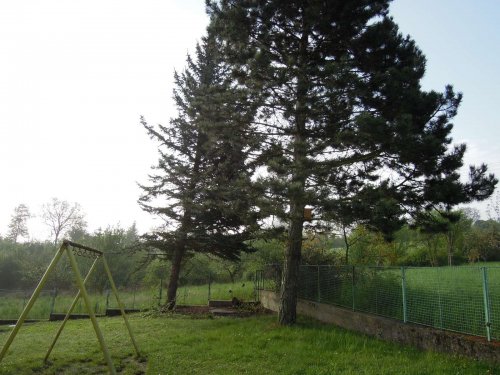 Nové budky pro ptáky - 22.4.2014