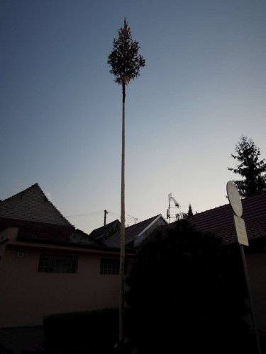 Stavění máje - 30.4.2014