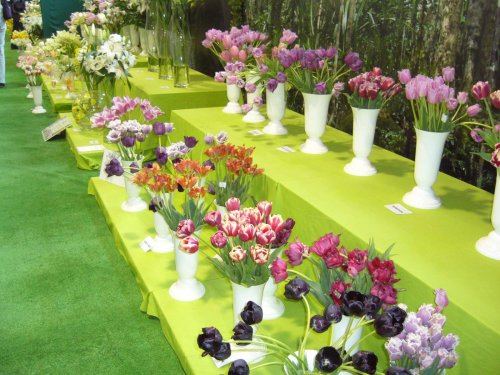 Zájezd Zahrádkářů na květinovou výstavu Floria Kroměříž - 10.5.2014