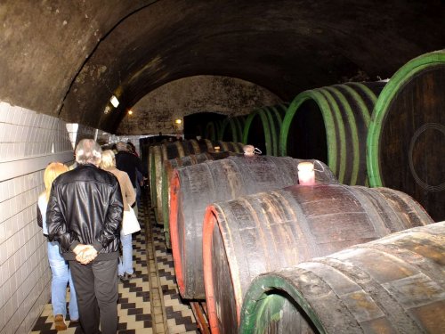 Zájezd Zahrádkářů na květinovou výstavu Floria Kroměříž - 10.5.2014