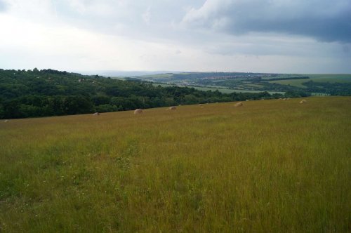 Prohlídka pastevního areálu Josefa Fiksela - 31.5.2014