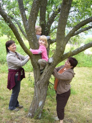 Soubor /2014-06-21-rekonstrukce-chaty-myslivcu-lipiny-40.jpg