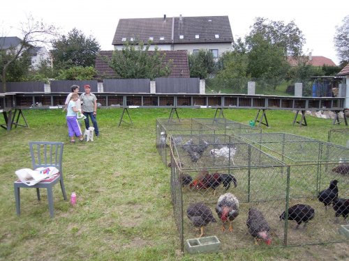 Výstava chovatelů - 20.9.2014