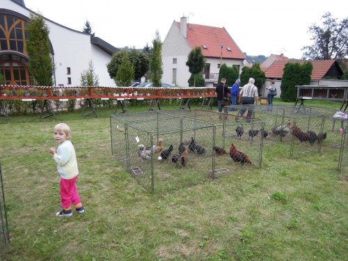 Výstava chovatelů - 20.9.2014