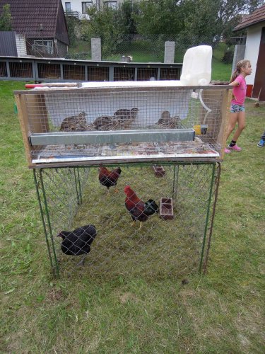 Výstava chovatelů - 20.9.2014