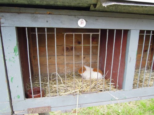 Výstava chovatelů - 20.9.2014