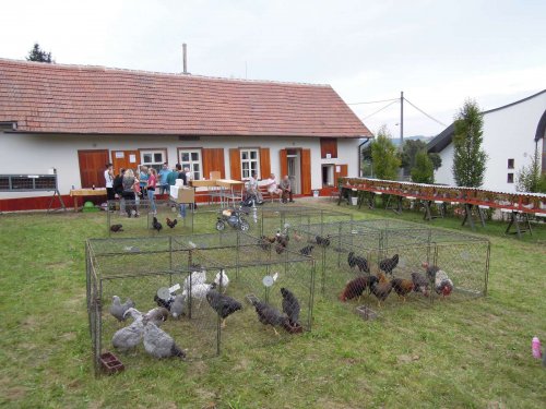 Výstava chovatelů - 20.9.2014