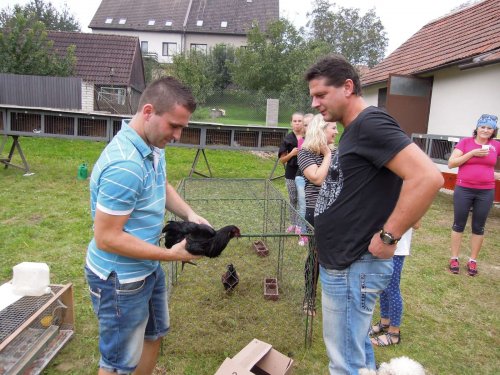 Výstava chovatelů - 20.9.2014
