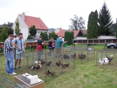 Výstava chovatelů - 20.9.2014