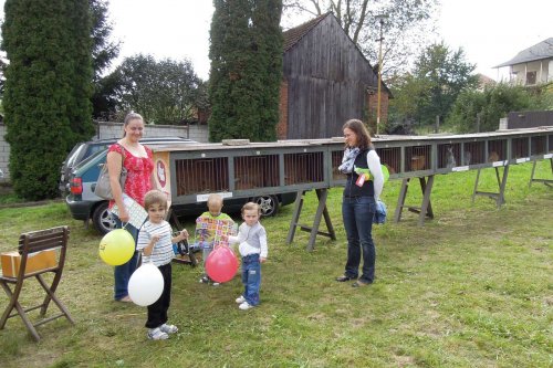 Výstava chovatelů - 20.9.2014