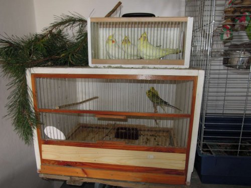 Výstava chovatelů - 20.9.2014