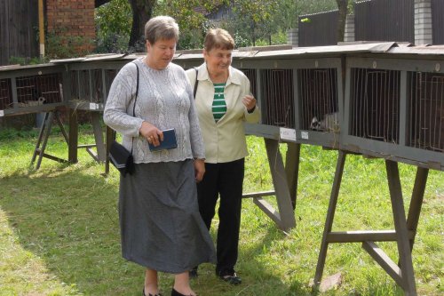 Výstava chovatelů - 20.9.2014