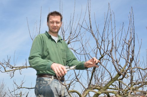 Jarní údržba školní zahrady - 11.4.2015