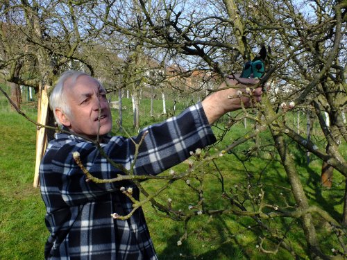 Jarní údržba školní zahrady - 11.4.2015