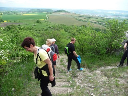 Soubor /2015-05-09-palava-sokol-28.jpg