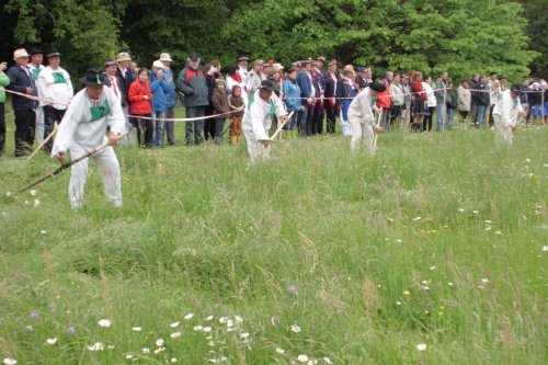 Soubor /2015-05-24-koseni-sekaci-buchlovice-13.jpg