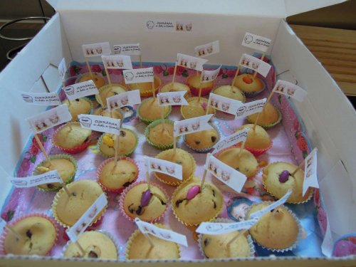 Zahradní slavnost v MŠ a pasování přešdškoláků na školáky - 9.6.2015