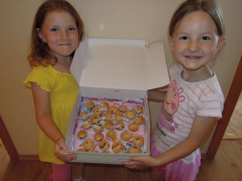 Zahradní slavnost v MŠ a pasování přešdškoláků na školáky - 9.6.2015