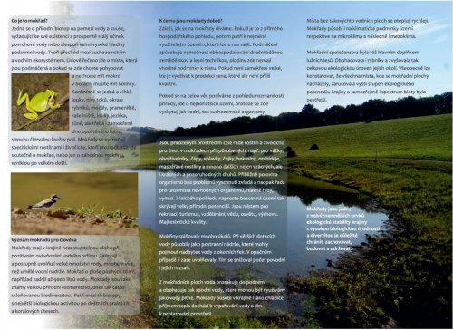 Otevírání mokřadů a tůní - 26.7.2015