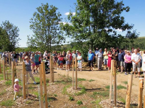 Otevírání mokřadů a tůní - 26.7.2015