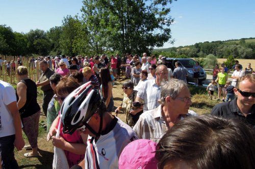 Otevírání mokřadů a tůní - 26.7.2015