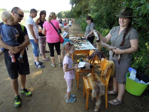 Otevírání mokřadů a tůní - 26.7.2015