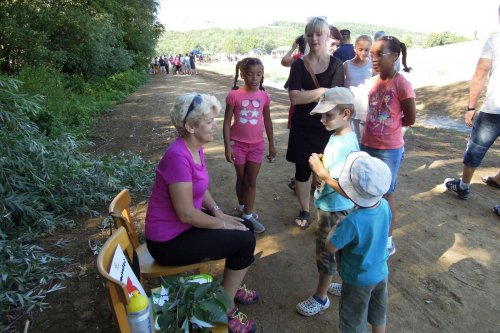 Otevírání mokřadů a tůní - 26.7.2015