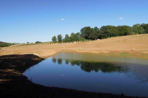 Otevírání mokřadů a tůní - 26.7.2015