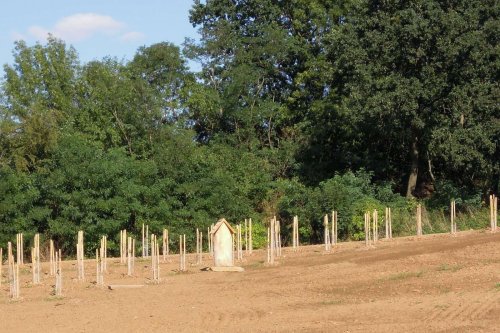 Otevírání mokřadů a tůní - 26.7.2015