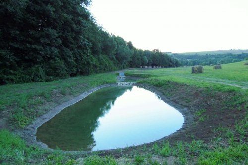 Otevírání mokřadů a tůní - 26.7.2015