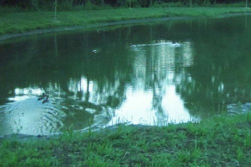 Otevírání mokřadů a tůní - 26.7.2015