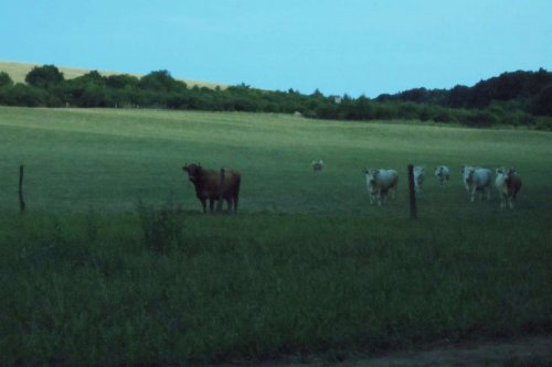 Otevírání mokřadů a tůní - 26.7.2015