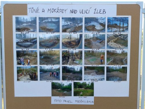 Otevírání mokřadů a tůní - 26.7.2015