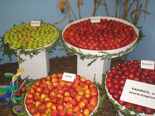 Zájezd zahrádkářů na Floru Olomouc - 3.10.2015