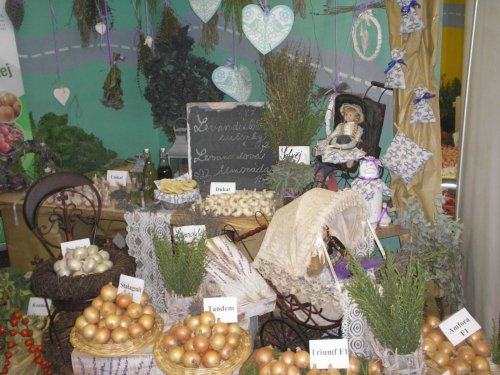 Zájezd zahrádkářů na Floru Olomouc - 3.10.2015