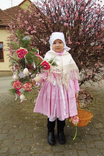 Královničky - nosení létečka v Podolí - 13.3.2016