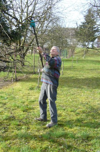 Brigáda zahrádkářů ve školní zahradě - 3.4.2016