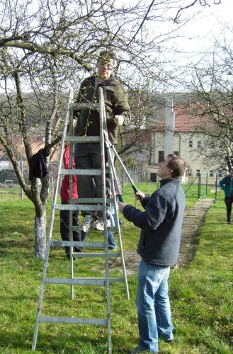 Brigáda zahrádkářů ve školní zahradě - 3.4.2016