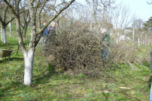 Brigáda zahrádkářů ve školní zahradě - 3.4.2016