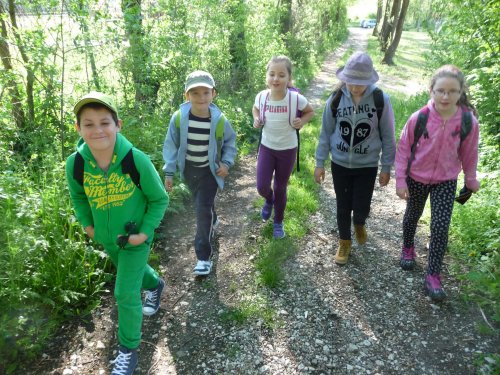 Vycházka na Rovninu - 7.5.2016