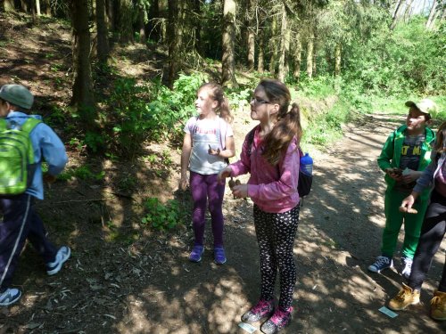 Vycházka na Rovninu - 7.5.2016